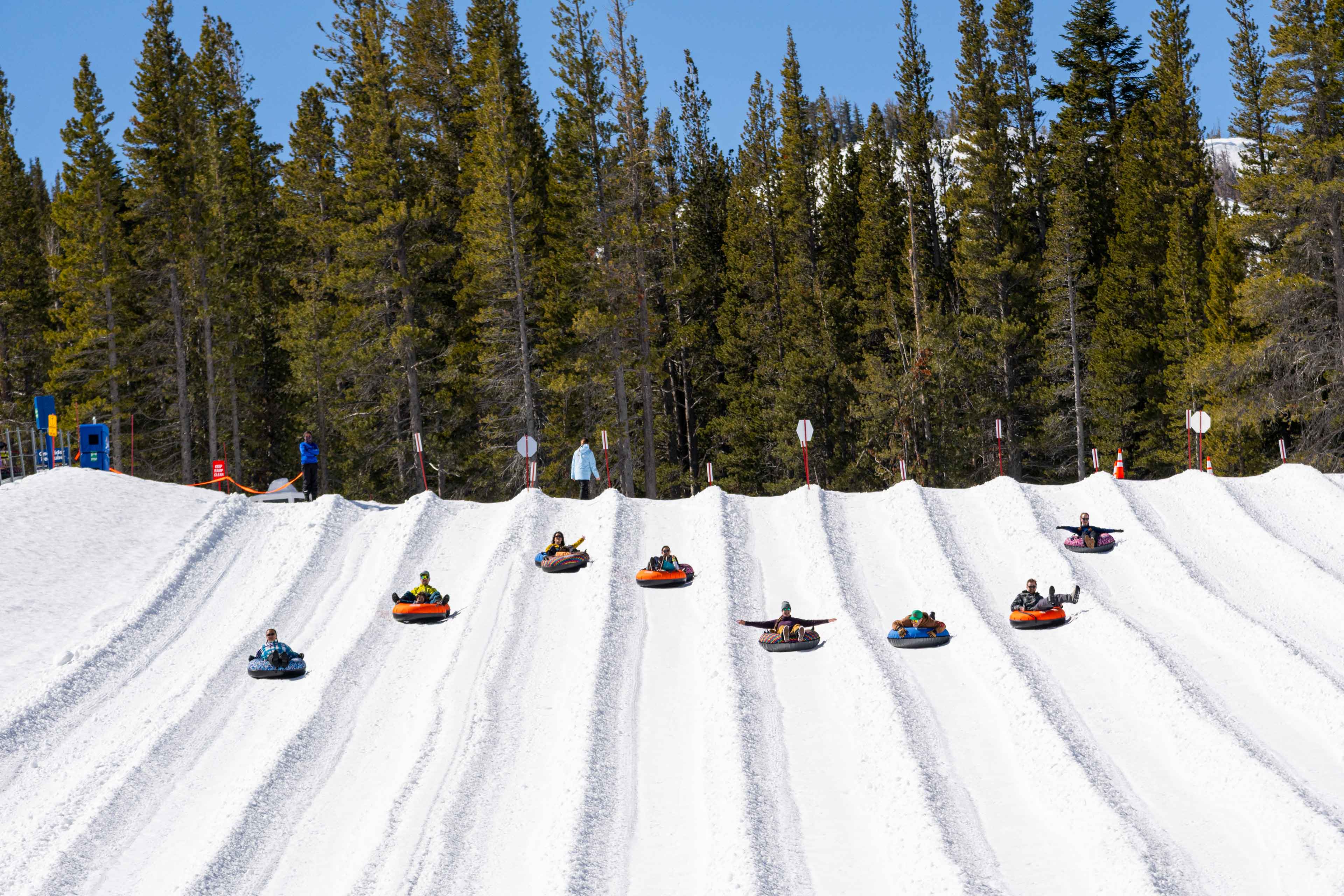 whole group sliding down in tubes at wildslide tahoe